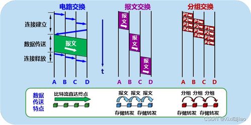 一篇文章让你全面认识计算机网络与工程施工